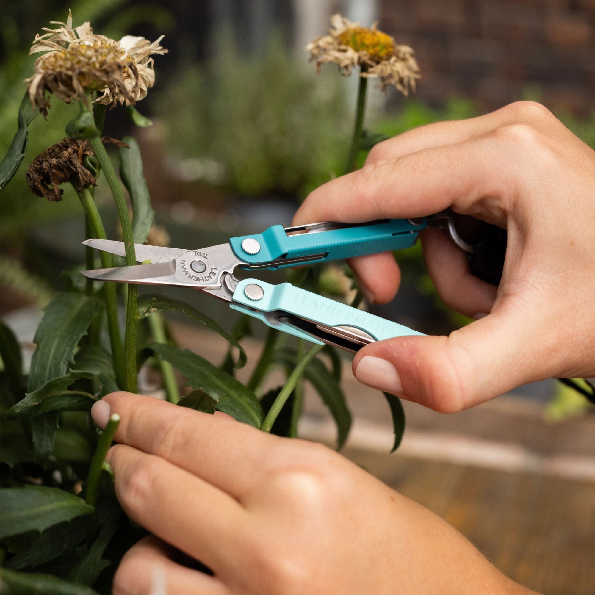 Leatherman Micra? - Image 15